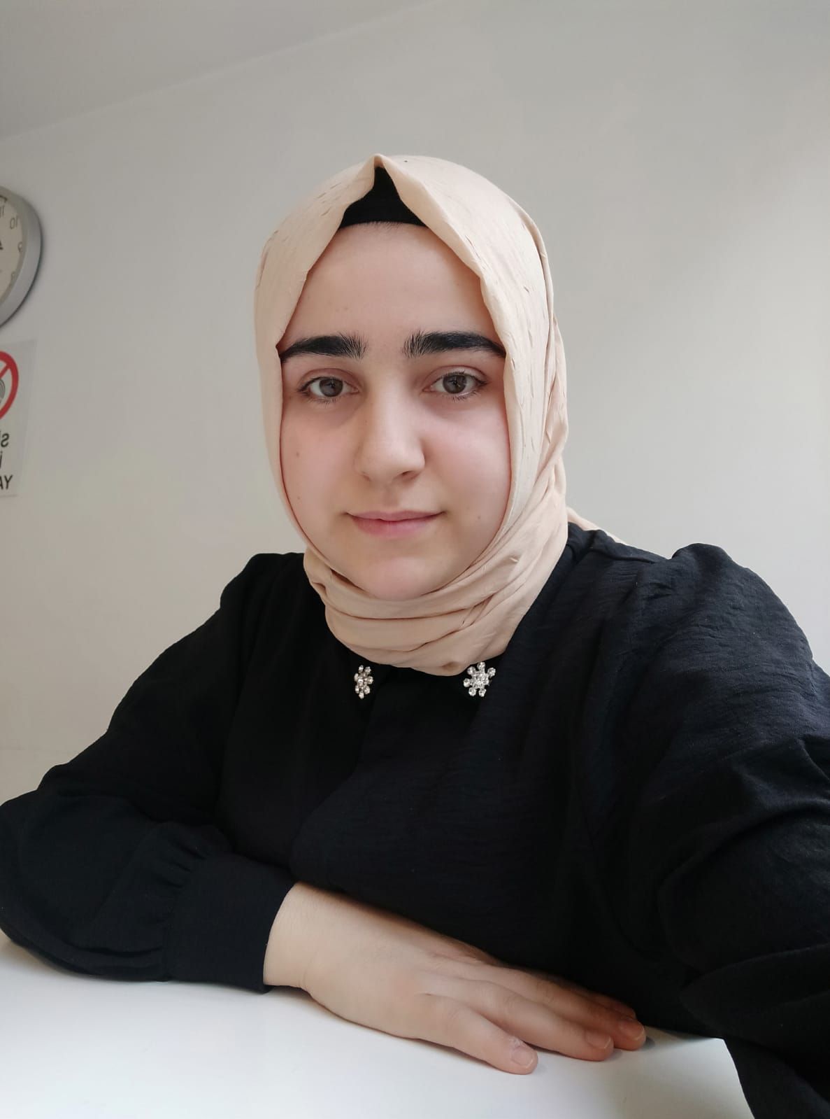 Ayşegül Pekbalcı